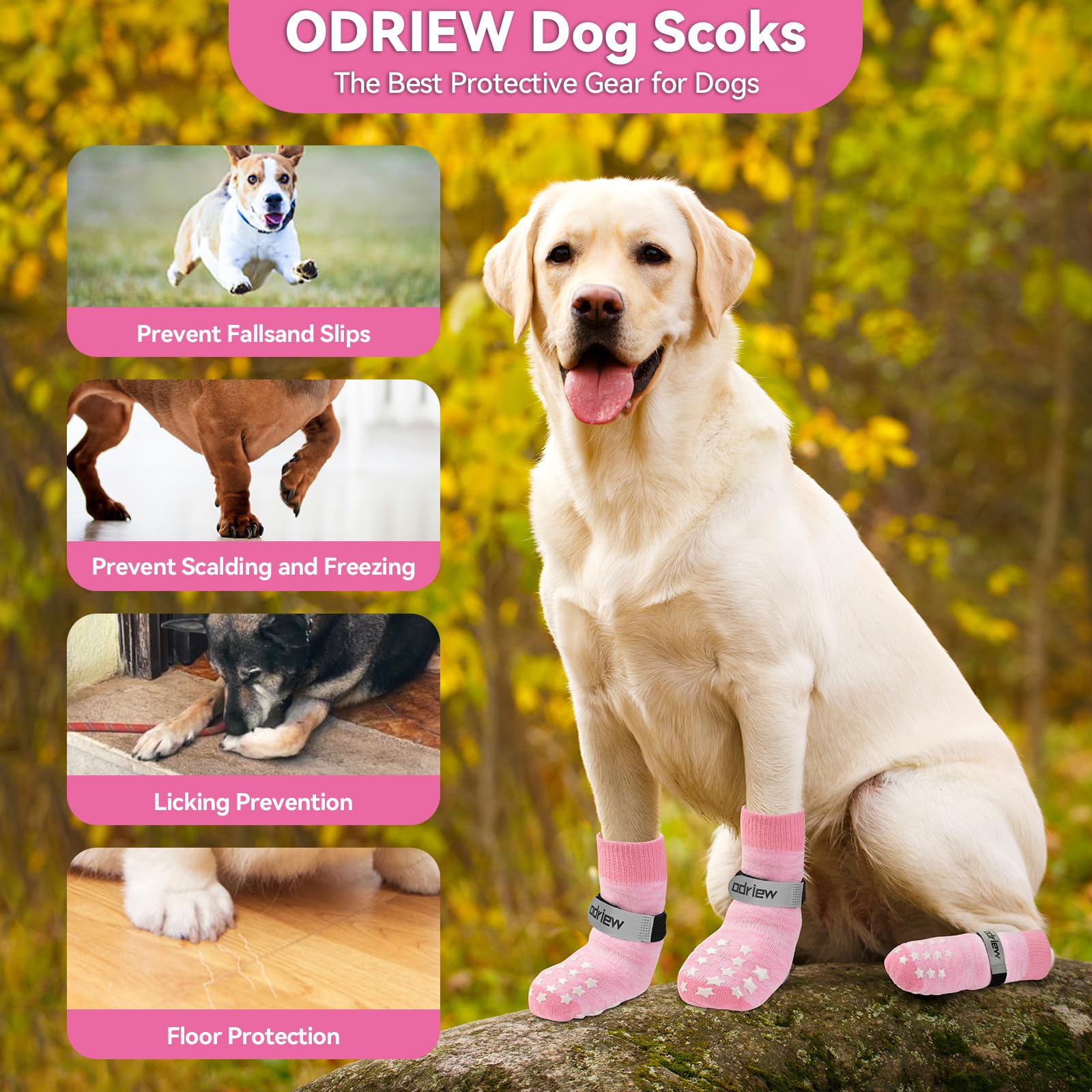 ODRIEW Non Slip Dog Socks to Prevent Licking Paws, Double Sided Grips, Dog Socks for Hardwood Floors Anti Slip, 6Pcs with Elasti